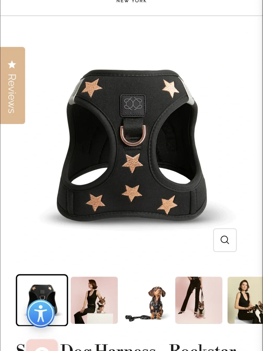 Black Star Embroidered Harness Vest